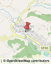 Pizzerie Pellegrino Parmense,43047Parma