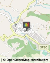 Pizzerie Pellegrino Parmense,43047Parma