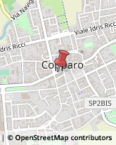 Associazioni Sindacali Copparo,44034Ferrara