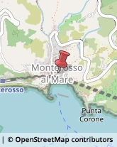 Aziende Sanitarie Locali (ASL) Monterosso al Mare,19016La Spezia