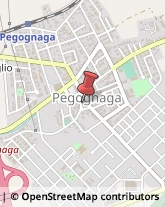 Tour Operator e Agenzia di Viaggi Pegognaga,46020Mantova