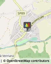 ,42030Reggio nell'Emilia