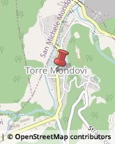 Autotrasporti Torre Mondovì,12080Cuneo