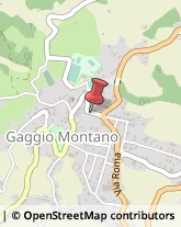 Comuni e Servizi Comunali Gaggio Montano,40041Bologna