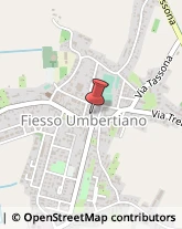 Consulenza Informatica Fiesso Umbertiano,45024Rovigo