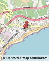 Vendite per Corrispondenza Cogoleto,16016Genova