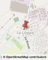 Ristoranti La Loggia,10040Torino