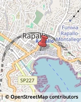 Argenteria - Lavorazione Rapallo,16035Genova