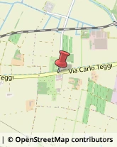 Trasporto Pubblico Cavriago,42123Reggio nell'Emilia