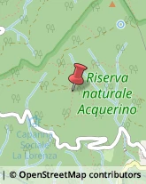 Riserve Naturali e Parchi Sambuca Pistoiese,51020Pistoia