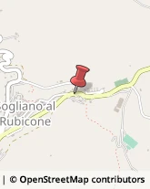 Articoli per Ortopedia Sogliano al Rubicone,47030Forlì-Cesena