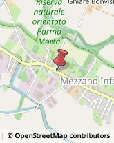 Istituti Finanziari Mezzani,43055Parma