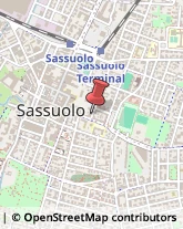 Giardinaggio - Servizio Sassuolo,41049Modena