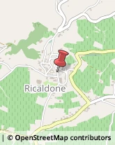 Zucchero Ricaldone,15010Alessandria