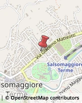 Alberghi Salsomaggiore Terme,43039Parma