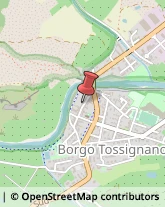 Autotrasporti Borgo Tossignano,40021Bologna