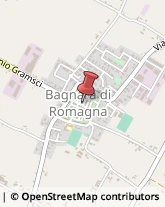 Banche e Istituti di Credito Bagnara di Romagna,48032Ravenna