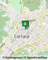 Aziende Agricole Carrara,54033Massa-Carrara