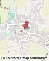 Grafologia Vigone,10067Torino