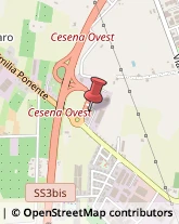 Autonoleggio Cesena,47522Forlì-Cesena