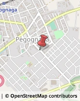 Tipografie Pegognaga,46020Mantova