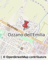 Aziende Sanitarie Locali (ASL) Ozzano dell'Emilia,40064Bologna