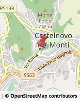 Prosciuttifici e Salumifici - Vendita Castelnovo Ne' Monti,42035Reggio nell'Emilia