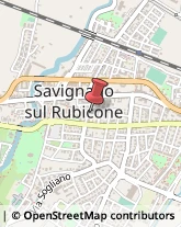 Asili Nido Savignano sul Rubicone,47039Forlì-Cesena