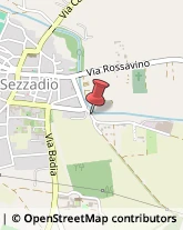 ,15079Alessandria