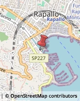 Motori Marini Rapallo,16035Genova