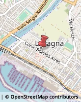 Consulenze Speciali Lavagna,16033Genova