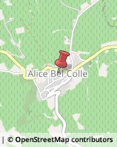 Agenzie Investigative Alice Bel Colle,15010Alessandria