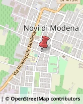 Frutta e Verdura - Dettaglio Novi di Modena,41016Modena