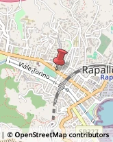 Vernici, Smalti e Colori - Vendita Rapallo,16035Genova