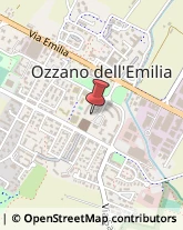 Imbiancature e Verniciature Ozzano dell'Emilia,40064Bologna