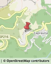 Agopuntura Caprauna,12070Cuneo