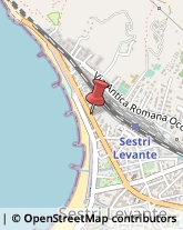 ,16039Genova