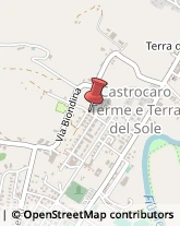 Pavimenti in Legno Castrocaro Terme e Terra del Sole,47011Forlì-Cesena