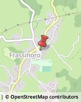 Assicurazioni Frassinoro,41044Modena