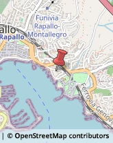 Falegnami Rapallo,16035Genova