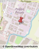 Autotrasporti Castel Guelfo di Bologna,40023Bologna