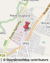 ,29029Piacenza