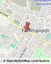 Autofficine e Centri Assistenza Forlimpopoli,47034Forlì-Cesena