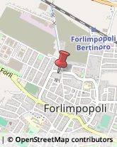 Agenti e Rappresentanti di Commercio,47034Forlì-Cesena