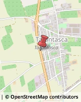 Antincendio - Impianti e Attrezzature,12100Cuneo