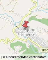 Poste Pellegrino Parmense,43047Parma