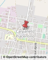 Bar e Caffetterie Carpaneto Piacentino,29013Piacenza