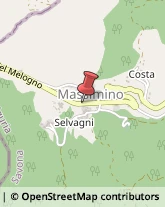 Segherie Massimino,12071Savona