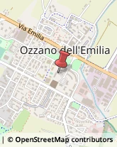 Ambulatori e Consultori Ozzano dell'Emilia,40064Bologna