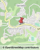Lavanderie a Secco Montese,41055Modena